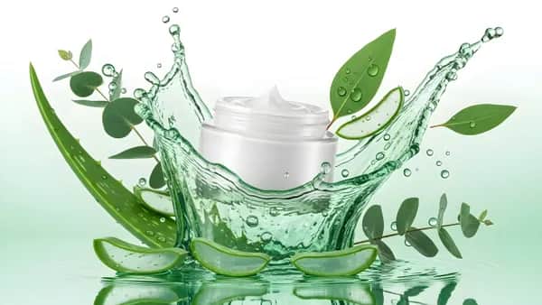 Für wen Aloe Vera Pflege besonders geeignet ist