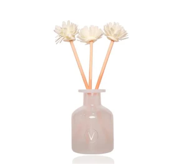 Raumduft mit natürlichem Diffusor - Aloe Spa