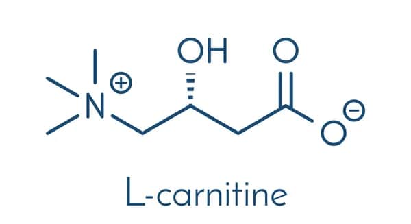 Hochwertige L-Carnitin-Sticks in Wien entdecken