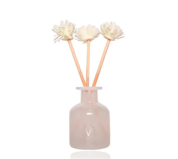 Raumduft mit natürlichem Diffusor - Aloe Spa